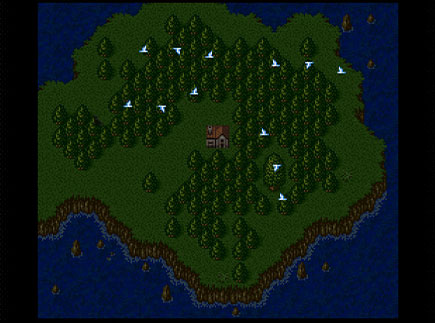 ブレスオブファイア2の写真496