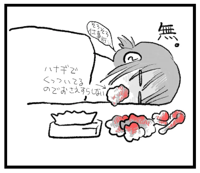 三十路女がジムに通うようになった話